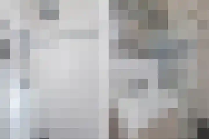 Sibadawei 8 Easterein thumbnail 29