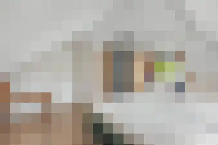 Sibadawei 8 Easterein thumbnail 32