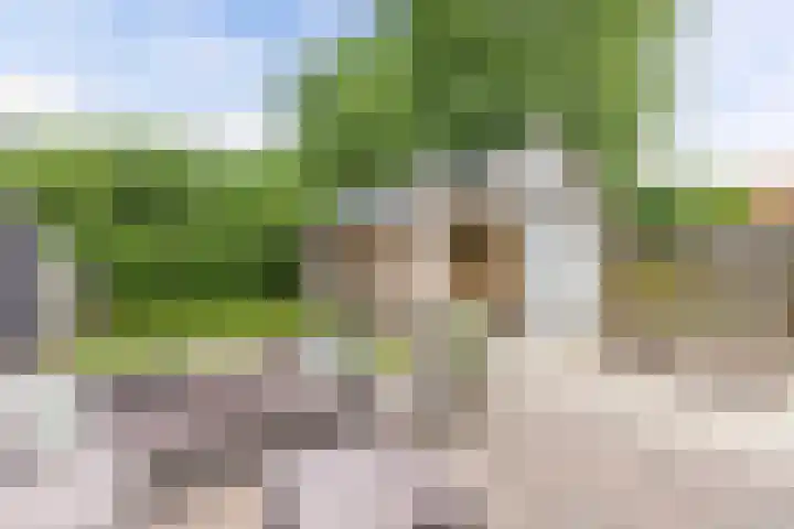 Sibadawei 8 Easterein thumbnail 33