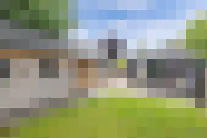 Sibadawei 8 Easterein thumbnail 34