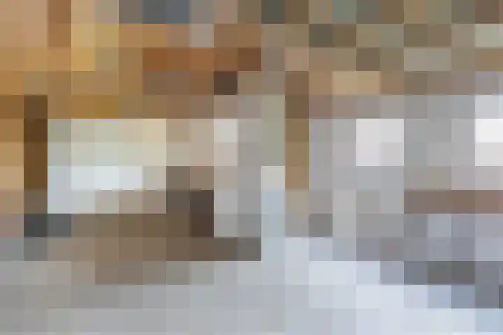 Sibadawei 8 Easterein thumbnail 36
