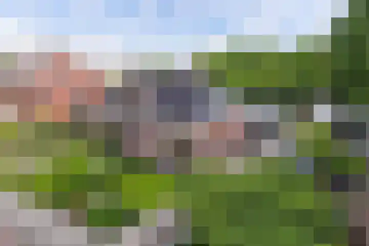 Sibadawei 8 Easterein thumbnail 38