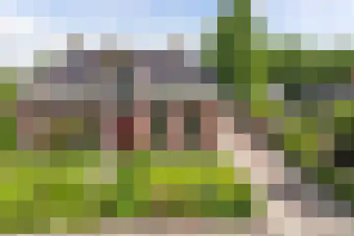 Sibadawei 8 Easterein thumbnail 39