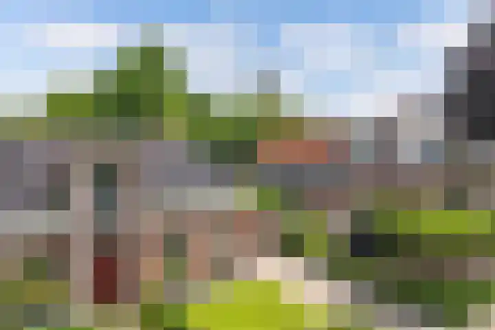 Sibadawei 8 Easterein thumbnail 41