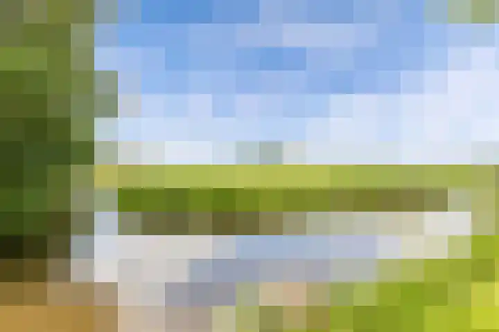 Sibadawei 8 Easterein thumbnail 44