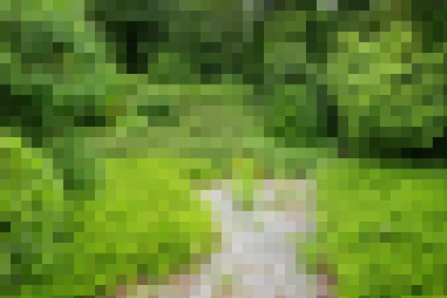 Sibbergrubbe 28 Valkenburg thumbnail 25