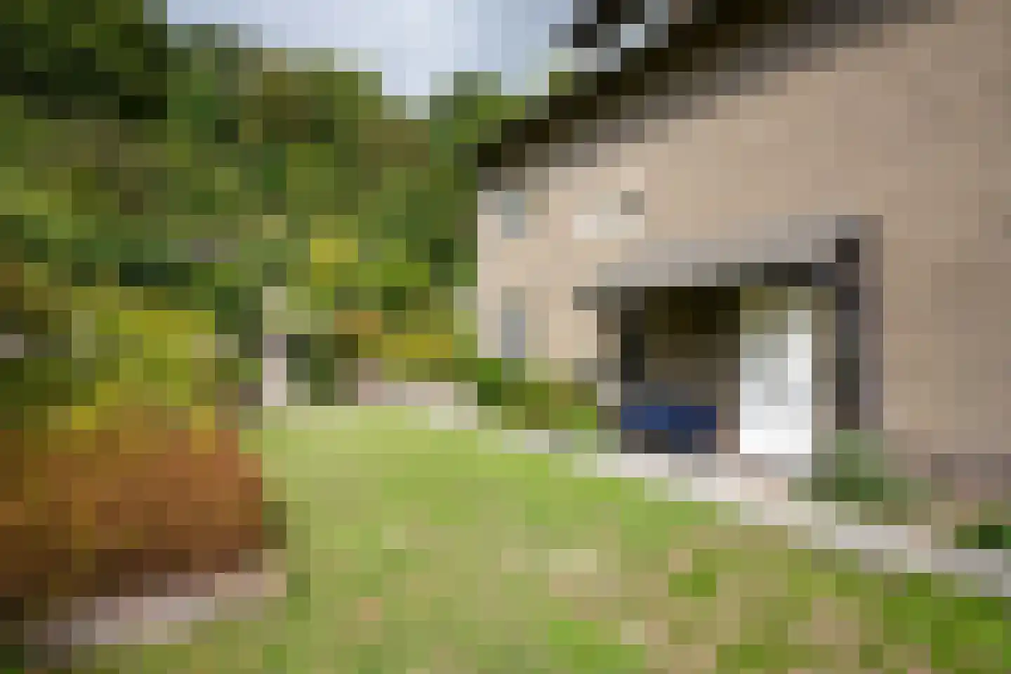 Sibbergrubbe 34 Valkenburg thumbnail 11