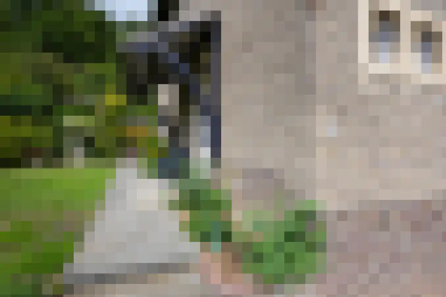 Sibbergrubbe 34 Valkenburg thumbnail 12