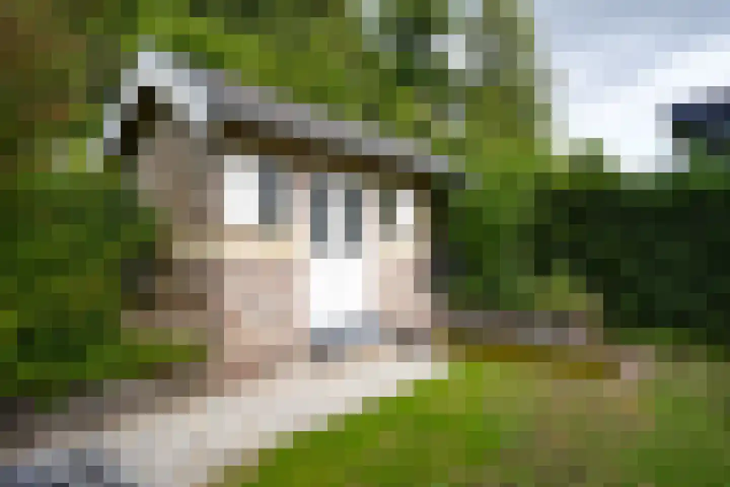 Sibbergrubbe 34 Valkenburg thumbnail 32