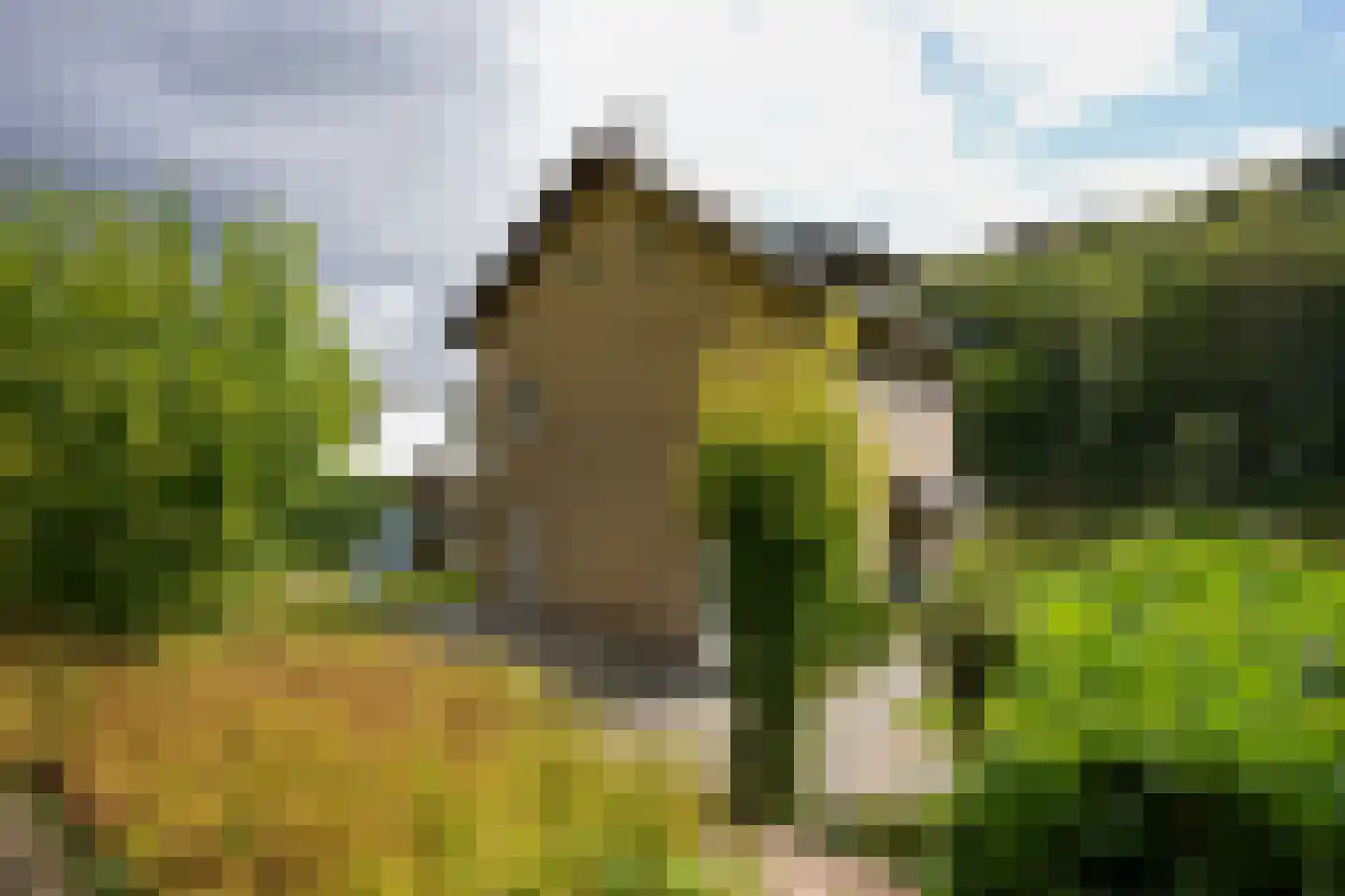 Sibbergrubbe 34 Valkenburg thumbnail 35
