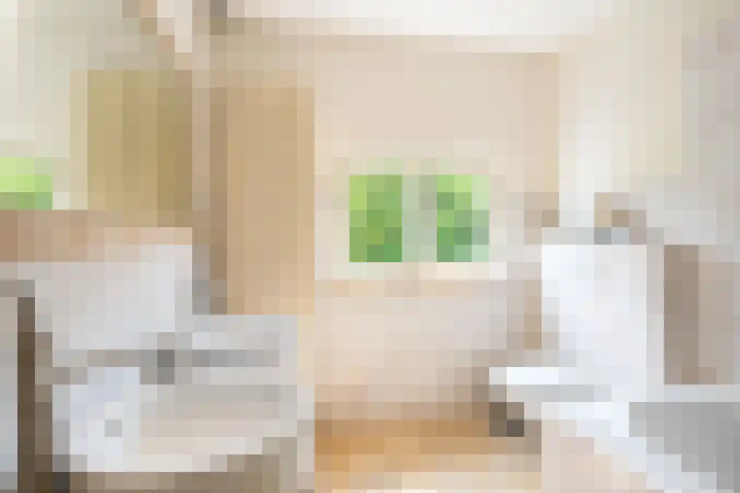 Sibbergrubbe 34 Valkenburg thumbnail 46
