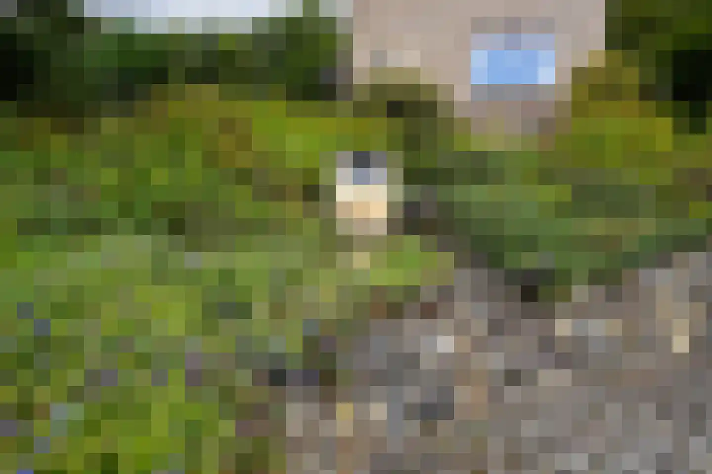 Sibbergrubbe 34 Valkenburg thumbnail 7