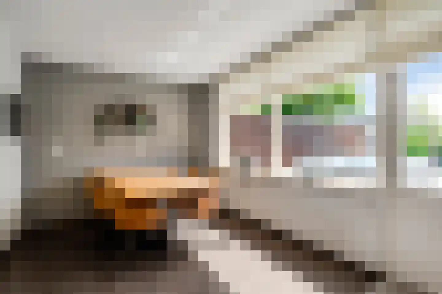 Sibberkerkstraat 23 Valkenburg thumbnail 7