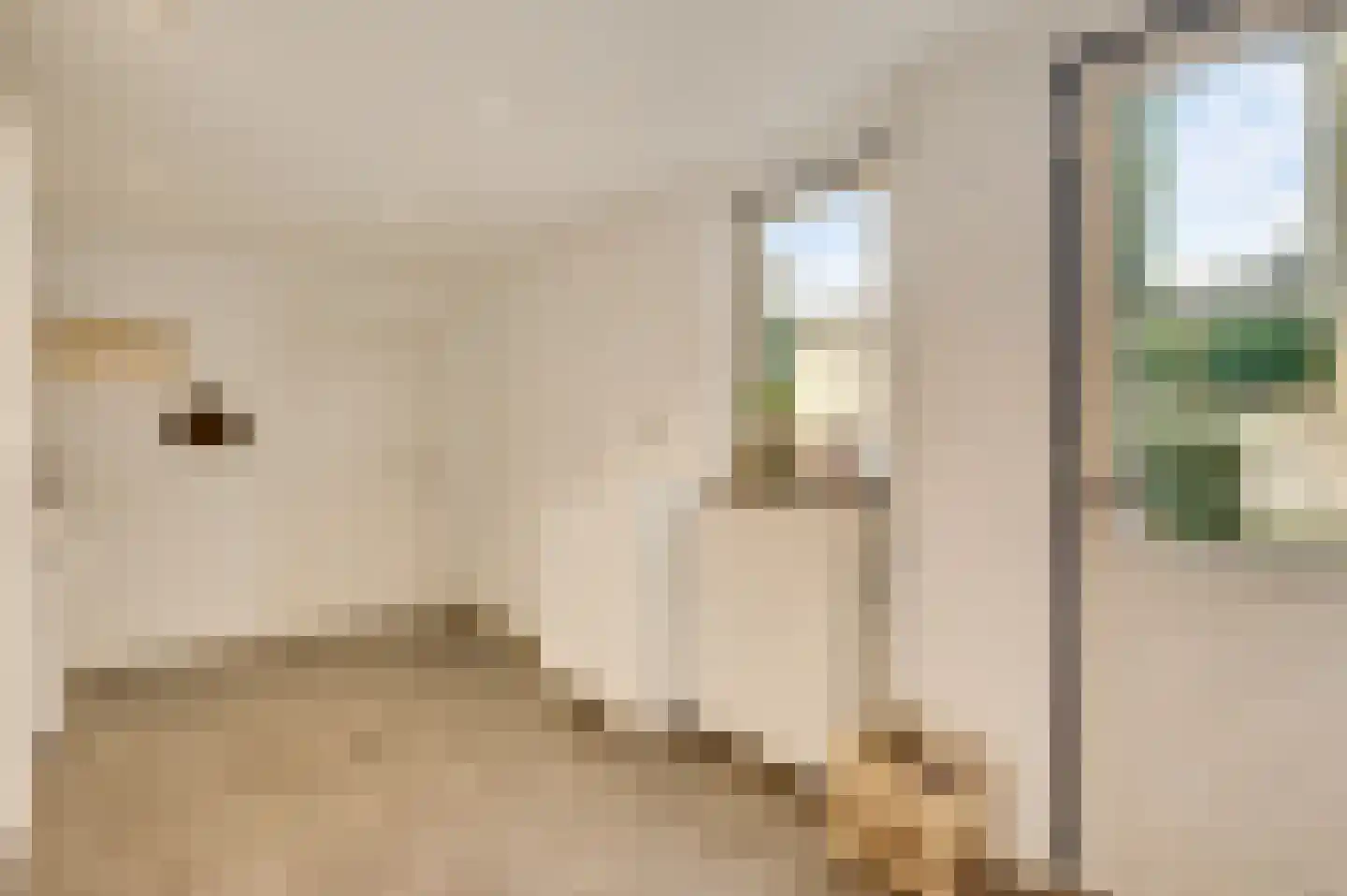 Sibberkerkstraat 60 Valkenburg thumbnail 9