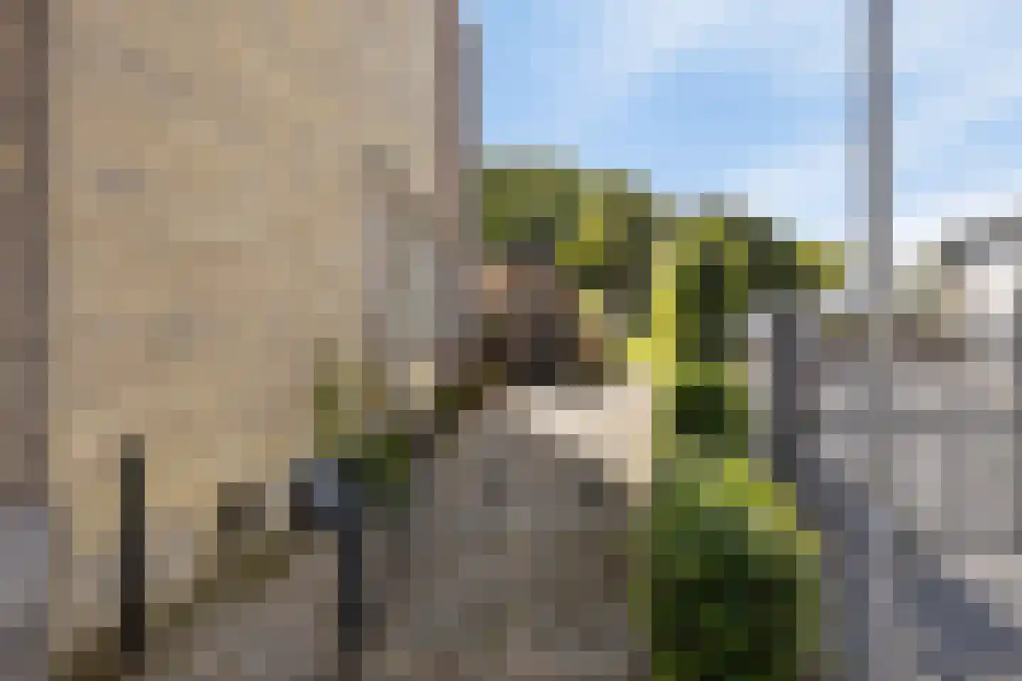 Sibberkerkstraat 61 Valkenburg thumbnail 30