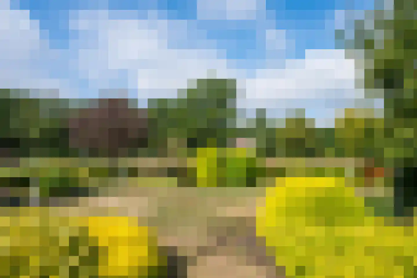 Sibbinkweg 11 Winterswijk thumbnail 47