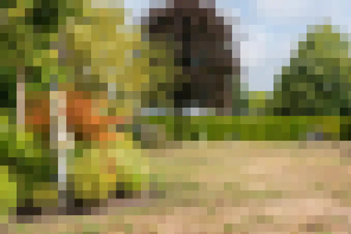 Sibbinkweg 11 Winterswijk thumbnail 51
