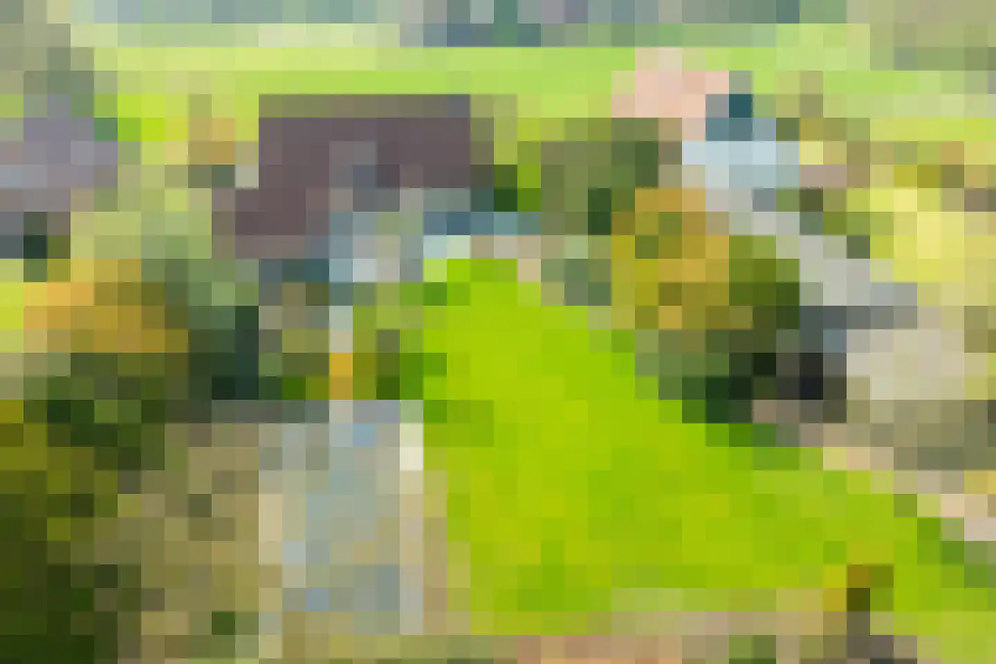 Sibbinkweg 13 Winterswijk thumbnail 10