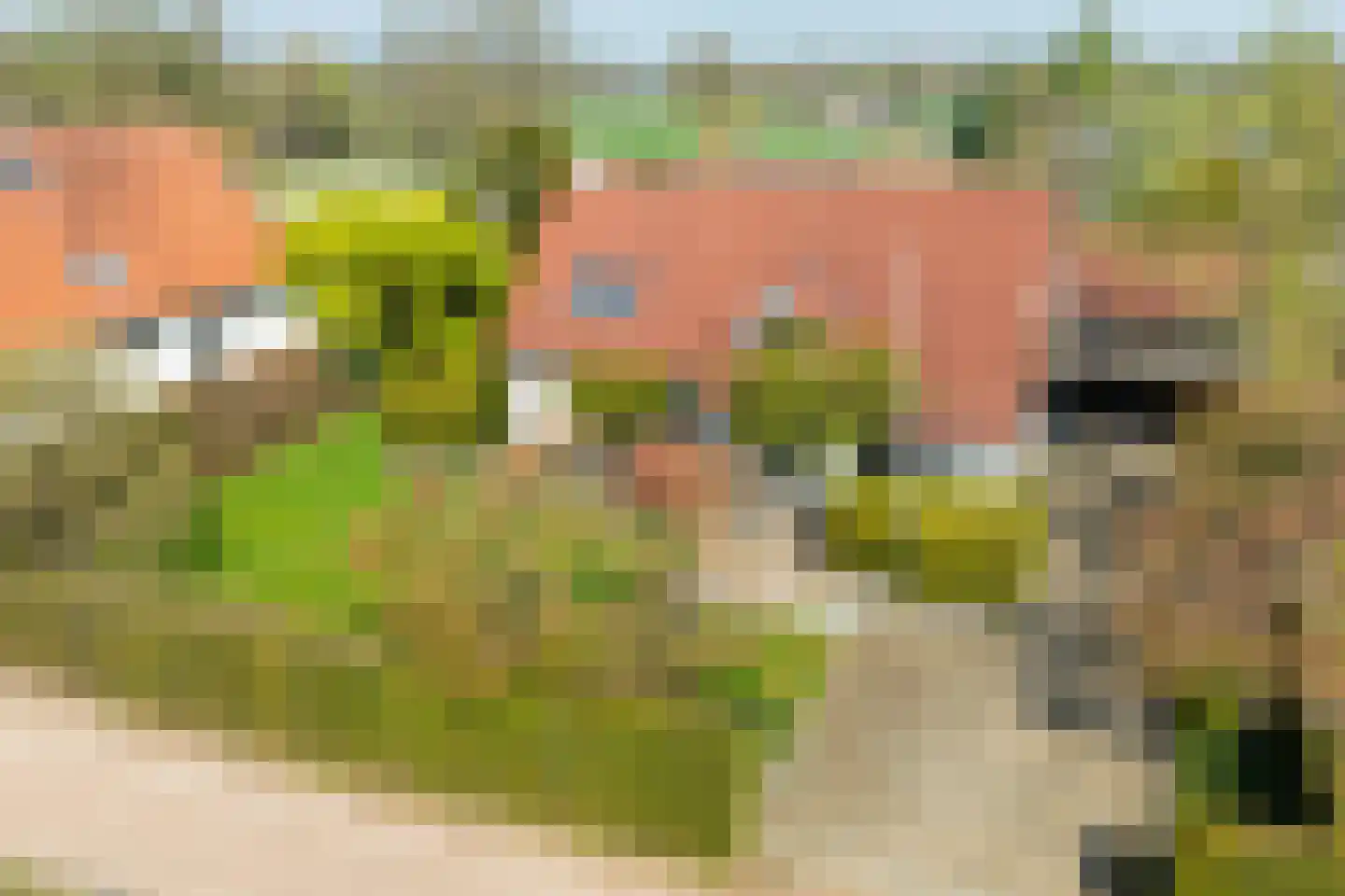 Sibbinkweg 13 Winterswijk thumbnail 7