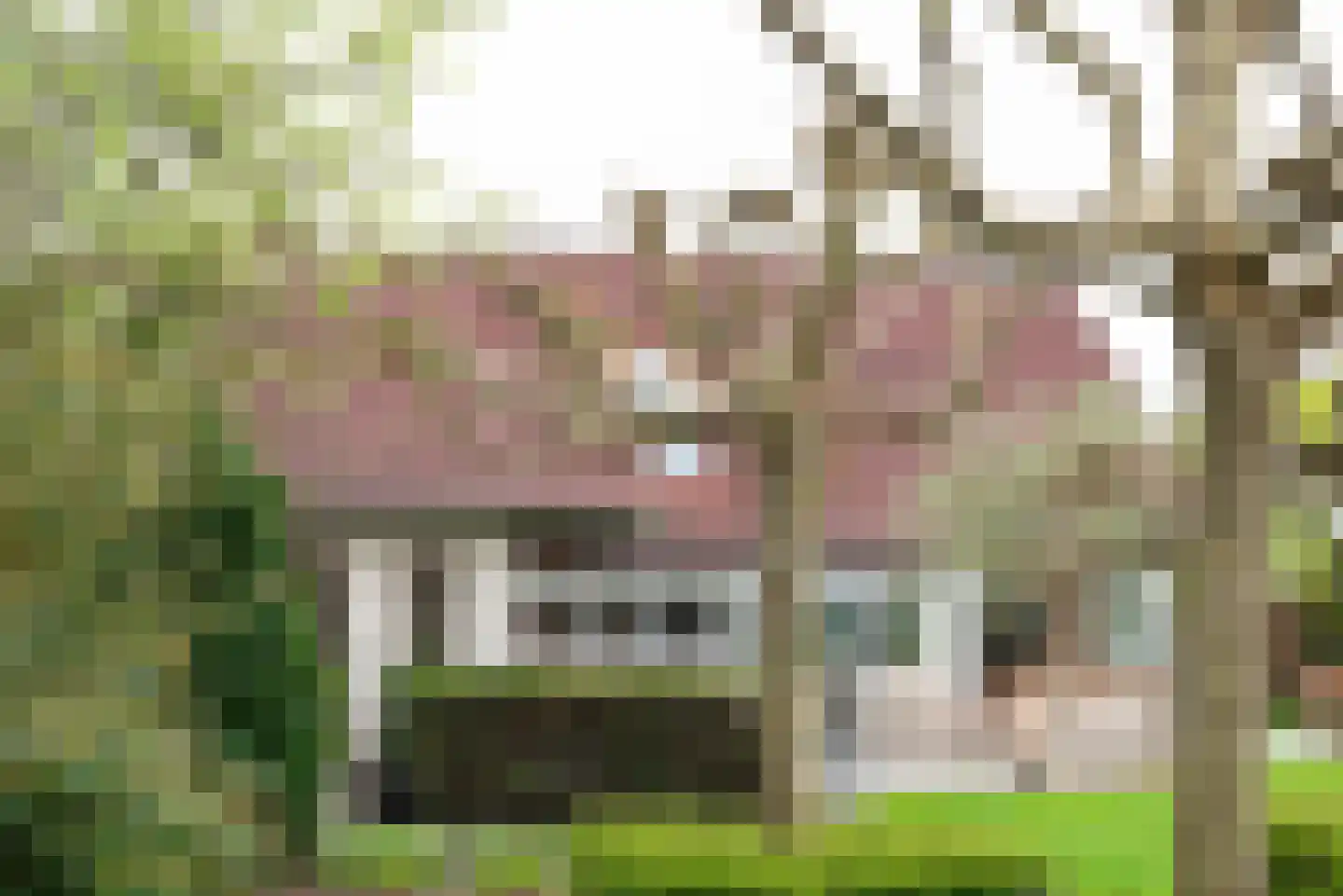 Sibbinkweg 13 Winterswijk thumbnail 79