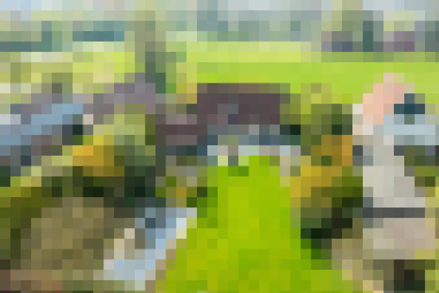 Sibbinkweg 13 Winterswijk thumbnail 9