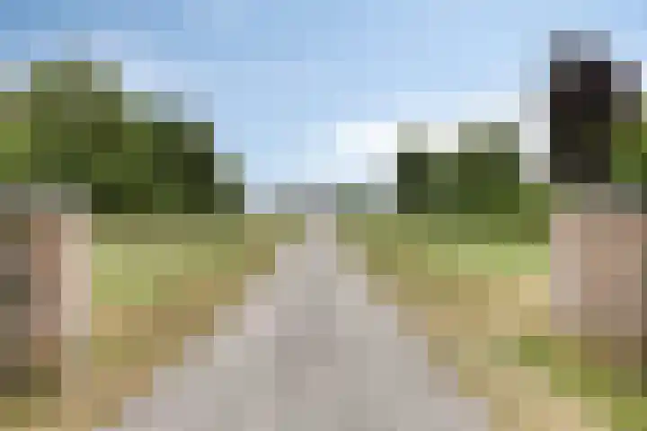 Sibculoseweg 17 Westerhaar-Vriezenveensewijk thumbnail 4