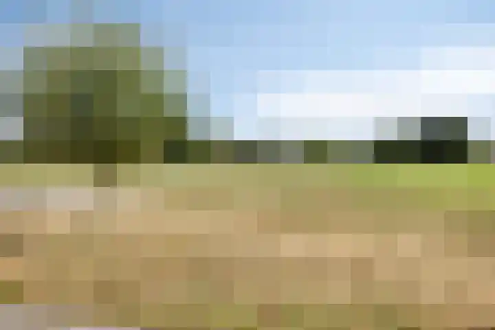 Sibculoseweg 17 Westerhaar-Vriezenveensewijk thumbnail 47