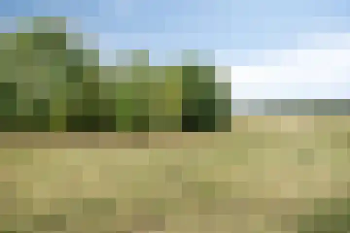 Sibculoseweg 17 Westerhaar-Vriezenveensewijk thumbnail 53