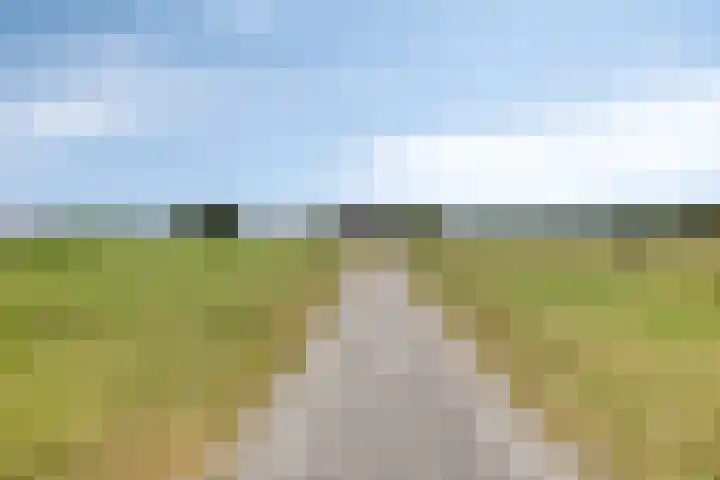 Sibculoseweg 17 Westerhaar-Vriezenveensewijk thumbnail 54