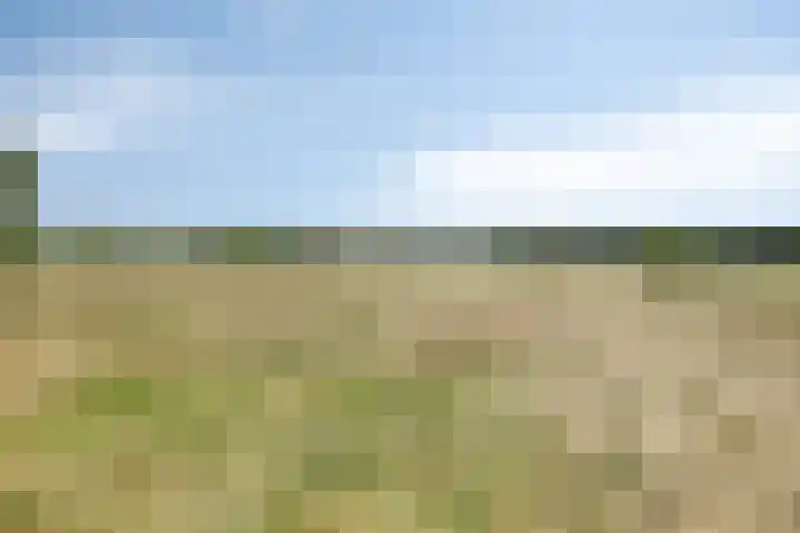 Sibculoseweg 17 Westerhaar-Vriezenveensewijk thumbnail 55
