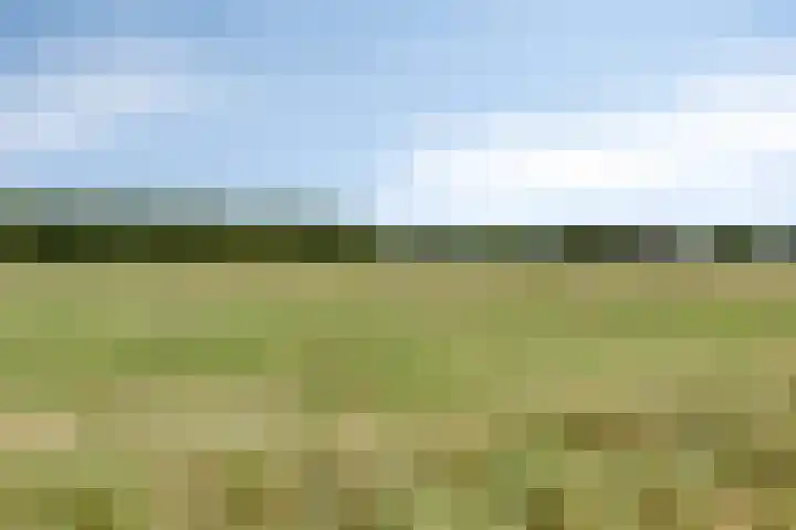 Sibculoseweg 17 Westerhaar-Vriezenveensewijk thumbnail 59