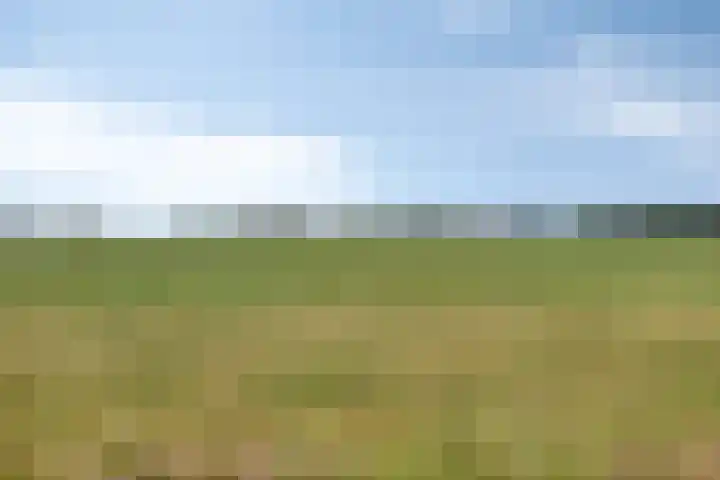 Sibculoseweg 17 Westerhaar-Vriezenveensewijk thumbnail 60