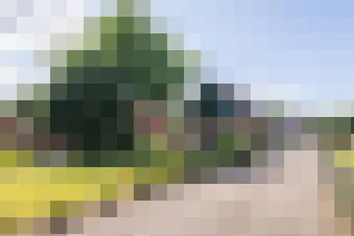 Sibculoseweg 2 Westerhaar-Vriezenveensewijk thumbnail 30