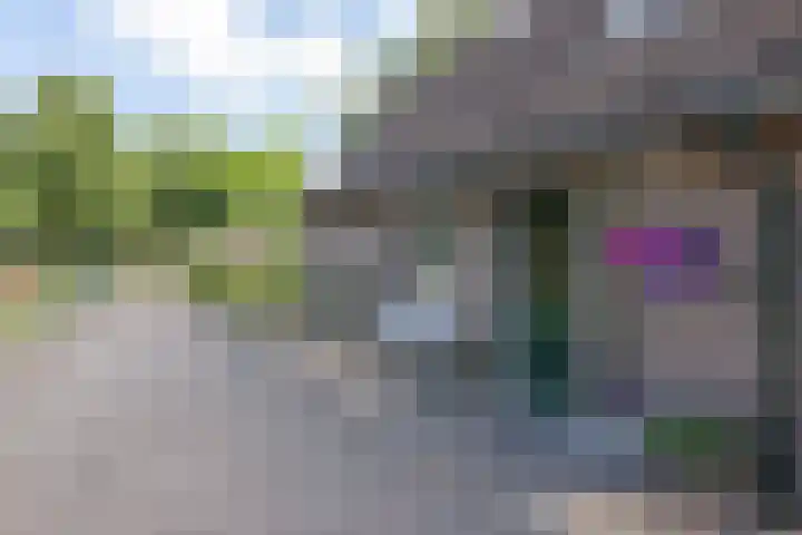 Sibculoseweg 2 Westerhaar-Vriezenveensewijk thumbnail 33