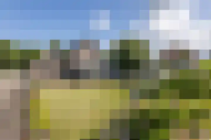 Sibculoseweg 2 Westerhaar-Vriezenveensewijk thumbnail 38