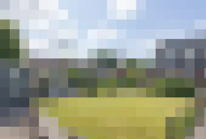 Sibculoseweg 2 Westerhaar-Vriezenveensewijk thumbnail 39