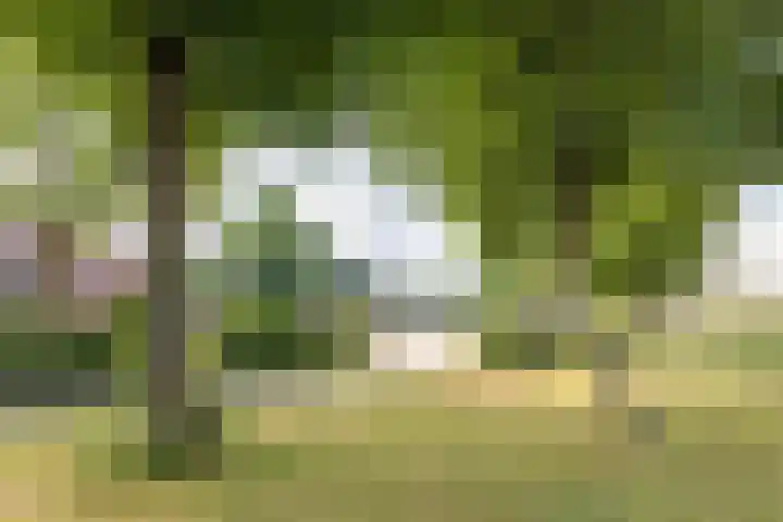 Sibculoseweg 2 Westerhaar-Vriezenveensewijk thumbnail 4