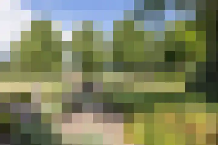 Sibculoseweg 2 Westerhaar-Vriezenveensewijk thumbnail 40