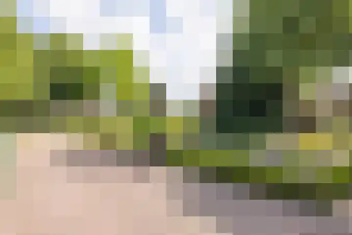Sibculoseweg 2 Westerhaar-Vriezenveensewijk thumbnail 41