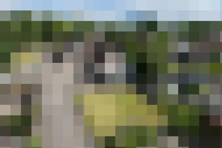 Sibculoseweg 2 Westerhaar-Vriezenveensewijk thumbnail 42