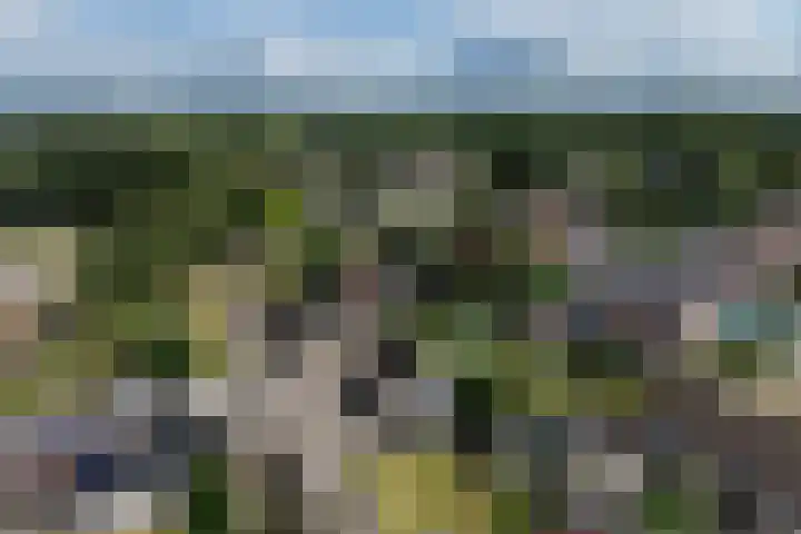 Sibculoseweg 2 Westerhaar-Vriezenveensewijk thumbnail 43