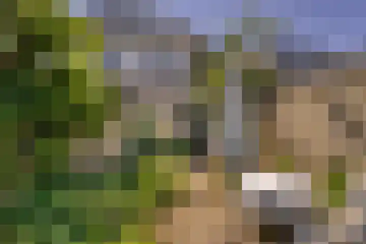 Sibculoseweg 2 Westerhaar-Vriezenveensewijk thumbnail 49