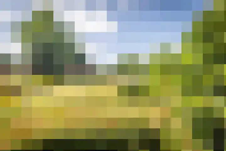 Sibculoseweg 2 Westerhaar-Vriezenveensewijk thumbnail 5