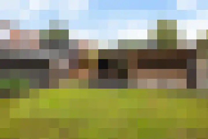 Sibculoseweg 28 Westerhaar-Vriezenveensewijk thumbnail 22