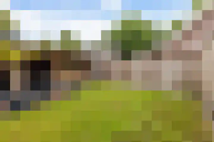 Sibculoseweg 28 Westerhaar-Vriezenveensewijk thumbnail 23