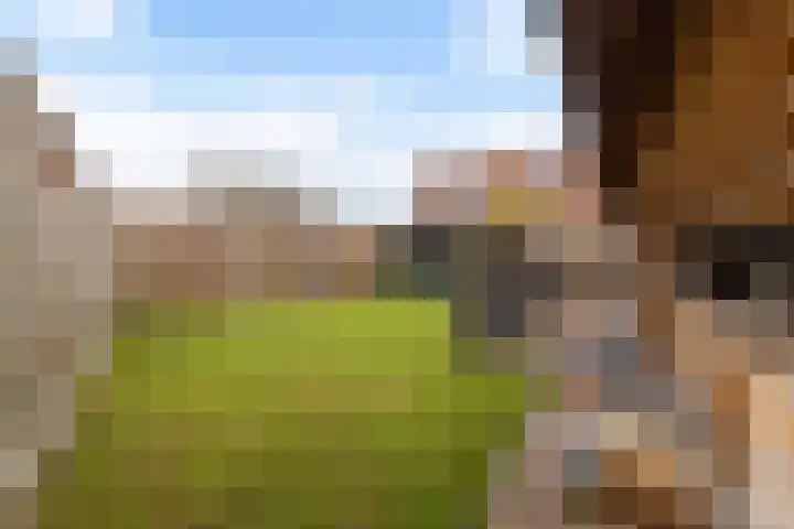 Sibculoseweg 28 Westerhaar-Vriezenveensewijk thumbnail 24