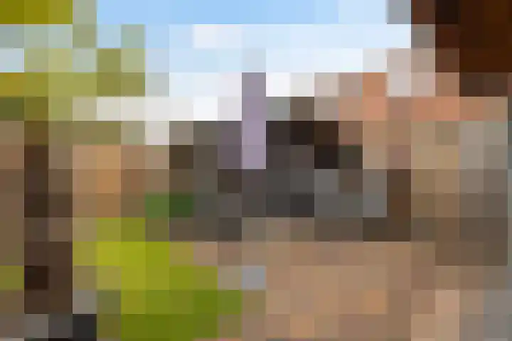 Sibculoseweg 28 Westerhaar-Vriezenveensewijk thumbnail 25