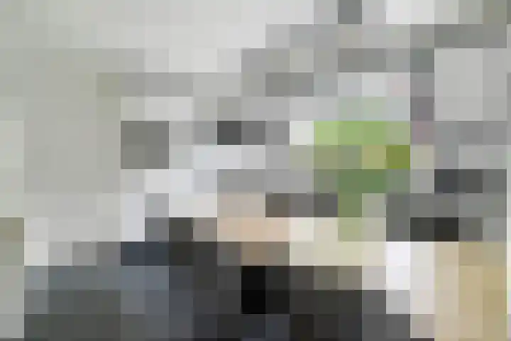 Sibculoseweg 61 Westerhaar-Vriezenveensewijk thumbnail 12