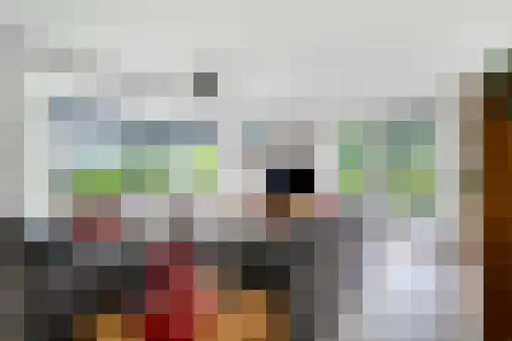 Sibculoseweg 61 Westerhaar-Vriezenveensewijk thumbnail 15