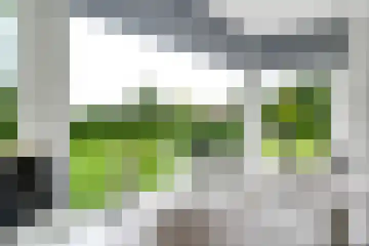 Sibculoseweg 61 Westerhaar-Vriezenveensewijk thumbnail 16